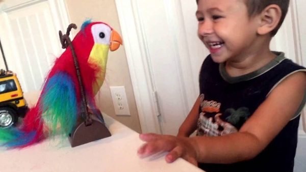 TALK BACK PARROT - Image 2